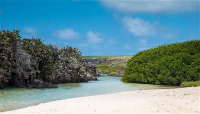 Sandstrand von Insel Genovesa